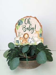 there is a plant in the basket with an oh baby sign on it