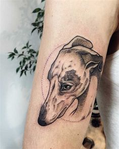 a dog's head tattoo on the arm