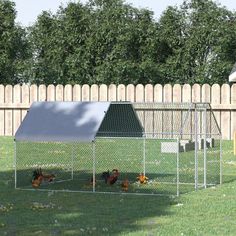 a chicken coop with chickens in it and a dog house on the other side of the fence