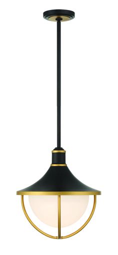 a black and gold hanging light fixture