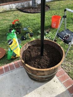 a wooden barrel filled with dirt sitting on top of a grass covered ground next to a tree