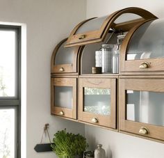 a kitchen with wooden cabinetry and glass doors on the cabinets, next to a potted plant