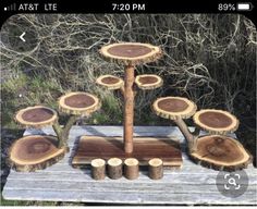 a group of tree stumps sitting on top of a wooden table