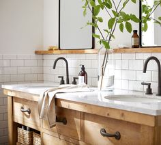 a bathroom with two sinks, mirrors and plants on the counter top in front of them