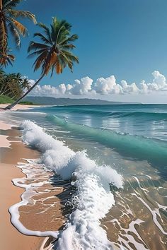 the beach is lined with palm trees and waves