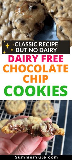 a hand holding a chocolate chip cookie with the words classic recipe but no dairy dairy free chocolate chip cookies