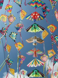 many colorful kites are flying in the sky