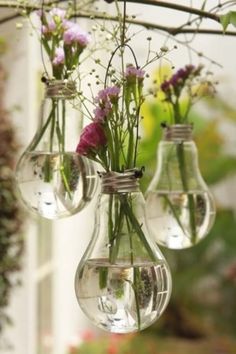 three light bulbs filled with flowers hanging from a branch