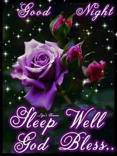 a purple rose with the words, good night sleep well and god be on it