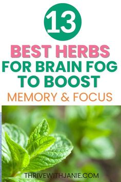 Brain Fog Remedies, Clear Brain Fog, Foggy Brain, Brain Boosting Foods, Brain Memory, Natural Acne, Boost Memory, Natural Healing Remedies, Clear Thinking