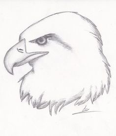 an eagle's head is shown in this drawing