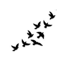 a flock of birds flying across a white sky in the shape of a long arrow