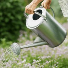 a woman is watering her garden with a metal watering can