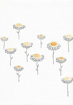 a drawing of daisies on a white background