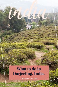 the words india, what to do in darjeeng, india on top of a photo