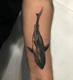 a black and white photo of a shark tattoo on the arm