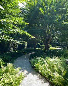 a path through a lush green forest filled with trees and bushes next to a stone pathway