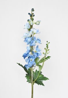 blue flowers are in a vase on a table