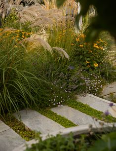 a garden with grass and flowers in the foreground, next to a stone walkway