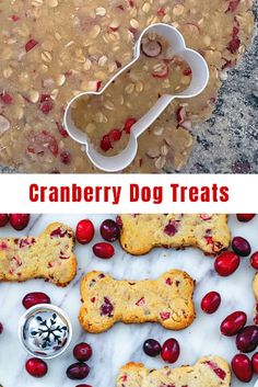 cranberry dog treats are ready to be eaten