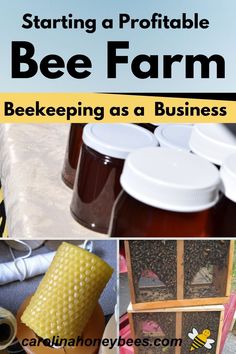 bee farm with bees and honeycombs in the bottom right hand corner is an article about starting a portable bee farm