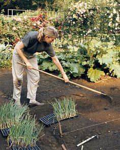 a woman is working in the garden with her rake and weeding poles on the ground