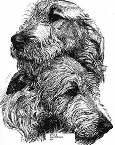 a black and white drawing of a dog's head