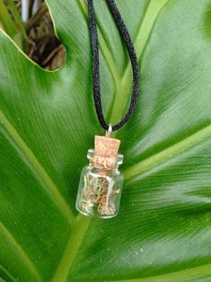 a glass jar filled with dirt sitting on top of a green leaf covered ground next to a black cord necklace