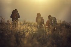 three people with backpacks are walking through tall grass in the sunlit field on a sunny day