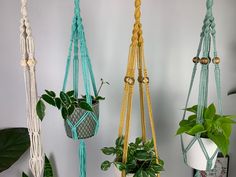 three macrame plant hangers in various colors and sizes with plants on them