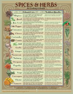 Spice Chart, Indian Medicine, Medicine Bags, Natural Healing Remedies, Diy Remedies, Herbal Magic, Samos, Spices And Herbs