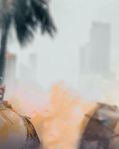 a man holding a frisbee on top of a city street next to a palm tree