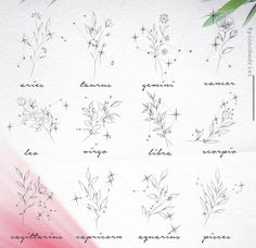 the different types of flowers are drawn on paper