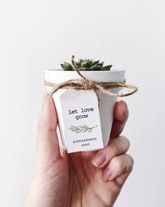 a hand holding a small potted plant with a tag that says let love grow