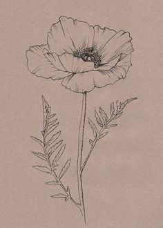 a black and white drawing of a flower