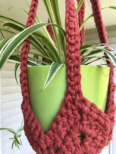 a crocheted plant hanger with a green pot in the middle and a large red plant hanging from it's side