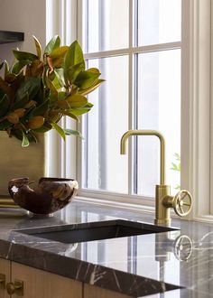 a kitchen sink sitting under a window next to a vase with leaves on it and a faucet