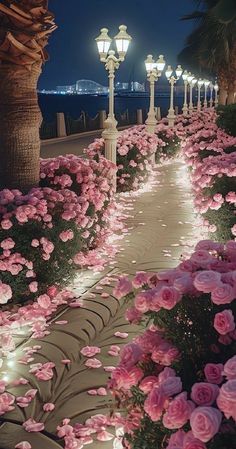 pink flowers are blooming on the sidewalk next to street lamps and palm trees at night