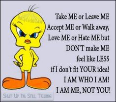 Love me Tweety!!! Tweety Bird Quotes, Dog Poems, Lilo And Stitch Quotes, Bird Quotes, Tweety Bird, Jokes And Riddles