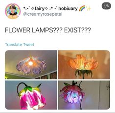 four different types of flowers are shown on the twitter page, and one is being used as a lamp