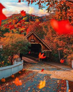 fall leaves are falling from the trees in front of a small wooden covered structure with a white fence