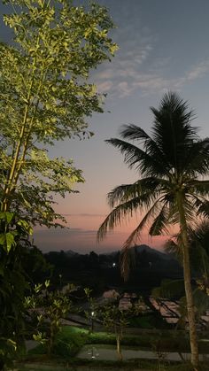 the sun is setting behind two palm trees