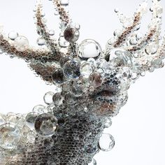 an animal made out of glass beads on a white background with water droplets all over it