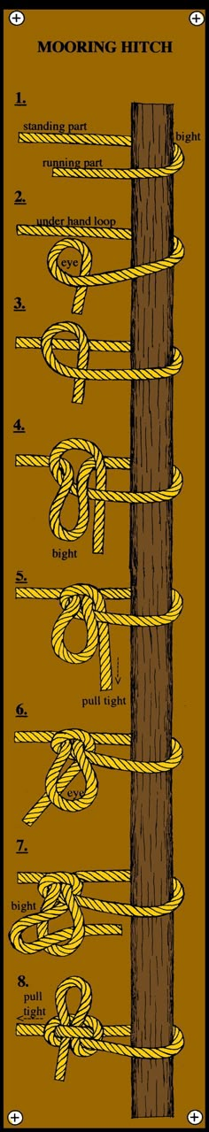 an image of a tree with the names of its branches and numbers in each section