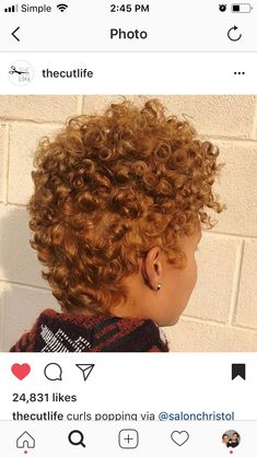 That colour, those curls Short Curly Hair Color Ideas, Short Curly Hair Color, Hair Color Ideas Natural, Curly Hair Color Ideas, Curly Hair Color, Shampoo For Gray Hair, Gray Hair Color, Tapered Natural Hair, Natural Hair Cuts