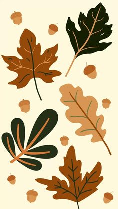 an image of autumn leaves and acorns