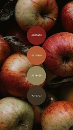 apples with different shades and names on them, including brown, green, and red