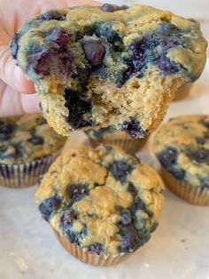 blueberry muffins being held up to the camera