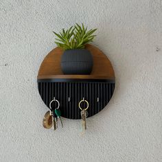 a wall mounted shelf with key hooks and a potted plant on it's side