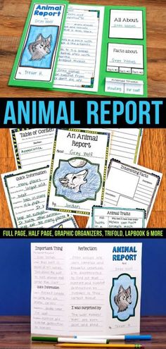 an animal report is shown on top of a desk with the text animal report below it